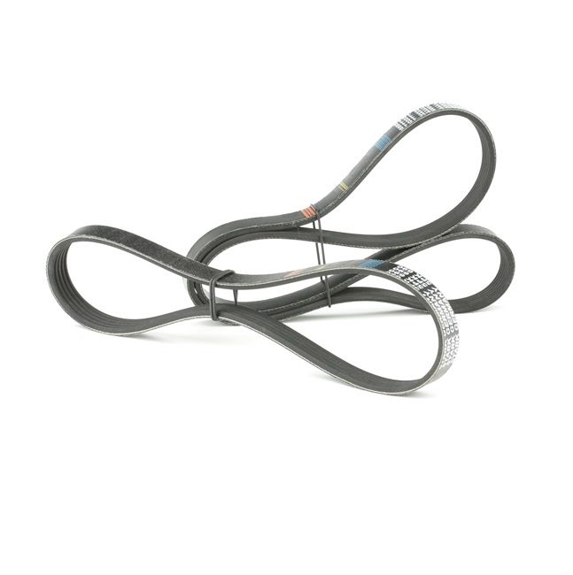 STARK SKRBS-1200017: Poly V-riem set