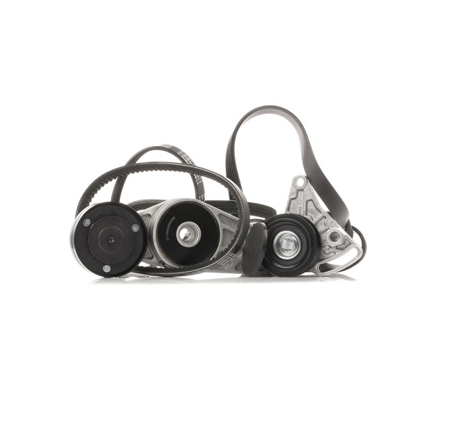 STARK SKRBS-1200036: Poly V-riem set