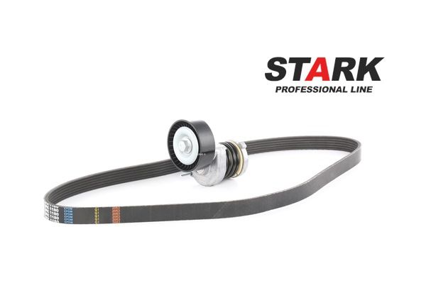 STARK SKRBS-1200040: Poly V-riem set