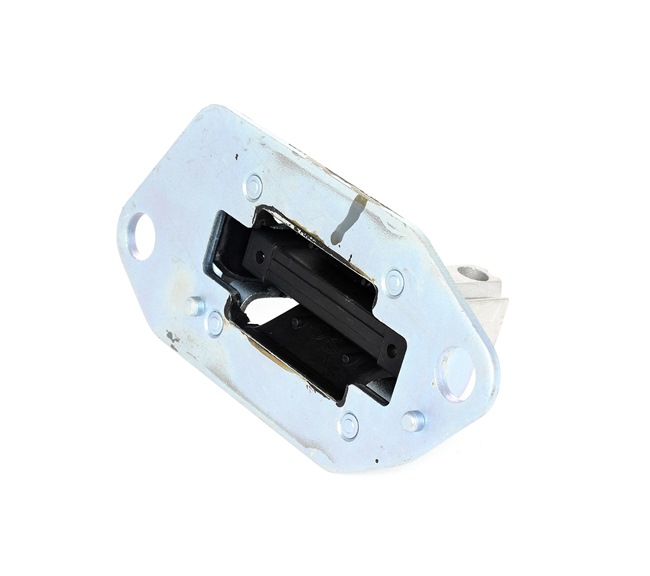 RIDEX 247E0052 Variklio montavimas VOLVO S60 I (384) 250 AG benzinas kaina