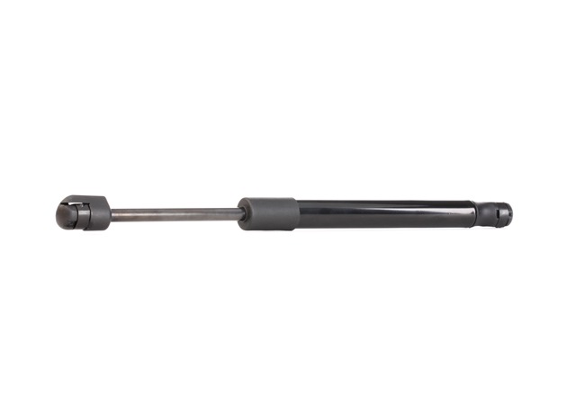 RIDEX 219G0224: Heckklappendämpfer hinten, beidseitig, 295mm