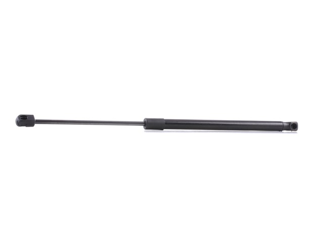 RIDEX 219G0096: Heckklappendämpfer