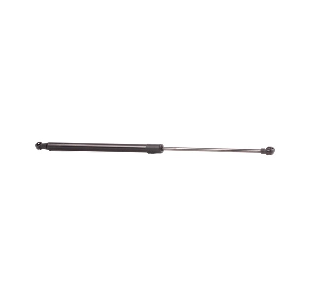 RIDEX 219G0005 Газов амортисьор, багажно / товарно пространство RENAULT SCENIC 2 (JM0/1) 103 K.C. дизел цена
