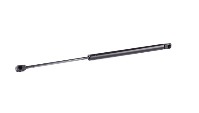 RIDEX 219G0360: Heckklappendämpfer hinten, 502mm