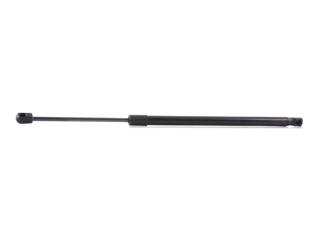 RIDEX 219G0065 Газов амортисьор, багажно / товарно пространство RENAULT SCENIC 2 (JM0/1) 103 K.C. дизел цена