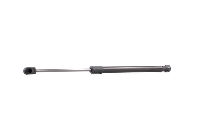 RIDEX 219G0088 Heckklappendämpfer RENAULT MEGANE 1 (BA0/1) 1.9 dCi (BA05, BA1F) 102 PS Diesel