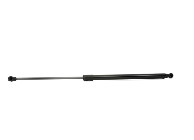 RIDEX 219G0358: Heckklappendämpfer beidseitig, 569,5mm