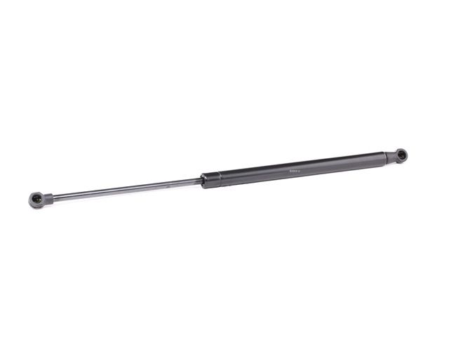 RIDEX 219G0356: Heckklappendämpfer