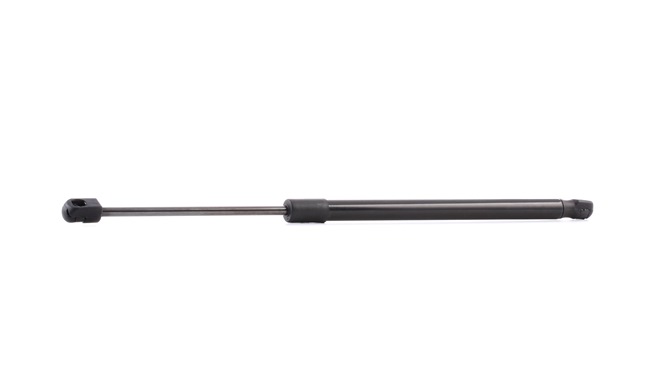 RIDEX 219G0355: Heckklappendämpfer