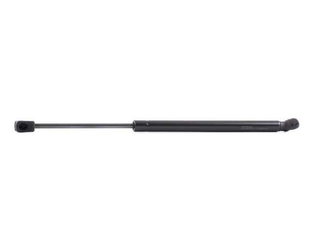 RIDEX 219G0347 Heckklappendämpfer HYUNDAI i20 (PB, PBT) 1.2 76 PS Benzin