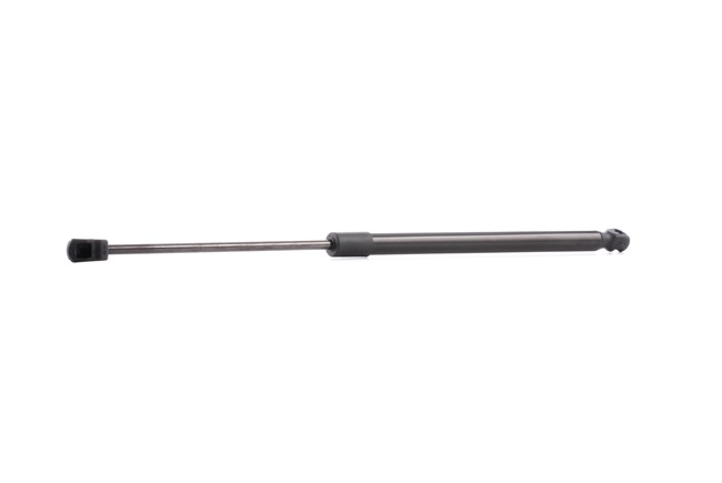 RIDEX 219G0121: Heckklappendämpfer hinten, 500mm