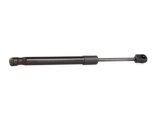 RIDEX 219G0138: Heckklappendämpfer 298mm