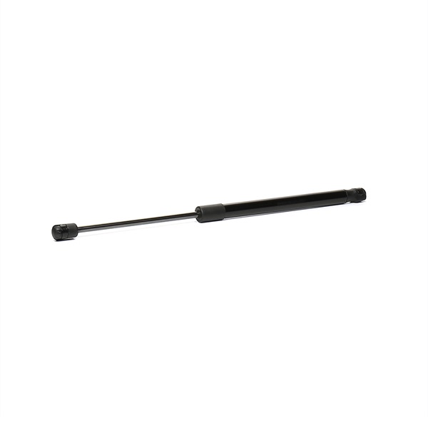RIDEX 219G0335: Heckklappendämpfer beidseitig, 419mm