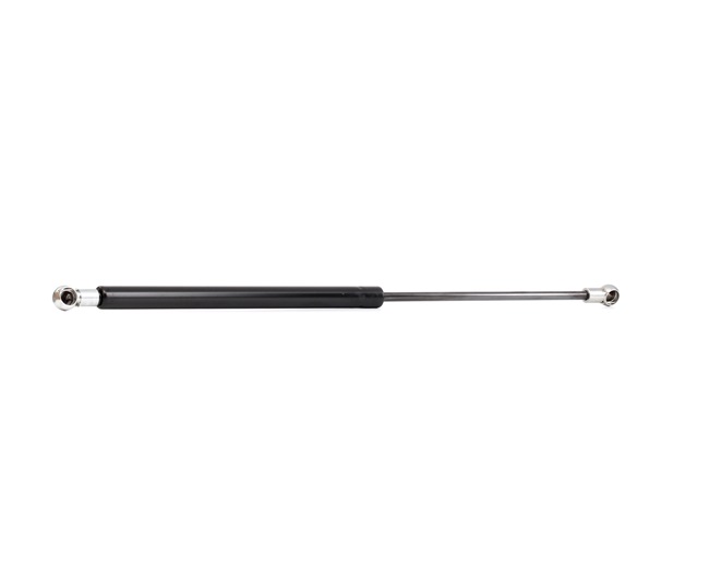 RIDEX 219G0312 Heckklappendämpfer CITROЁN C5 I (DC_) 207 PS Benzin Kosten