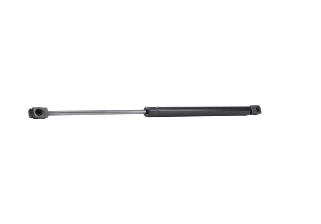 RIDEX 219G0161: Heckklappendämpfer
