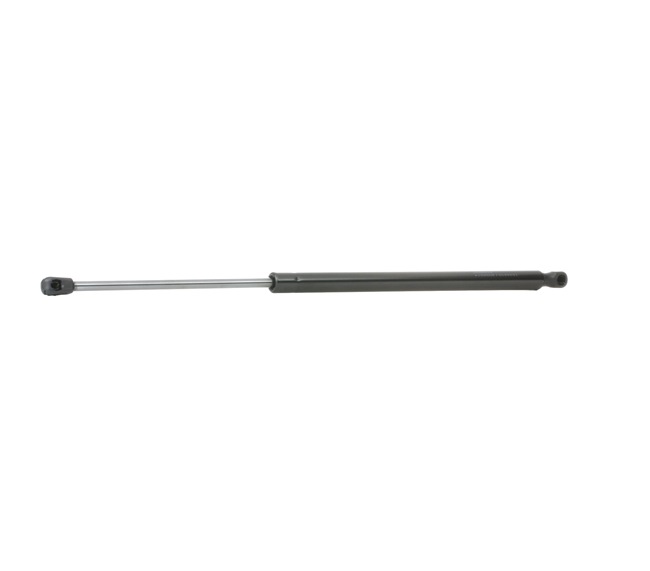 RIDEX 219G0164: Heckklappendämpfer 560mm