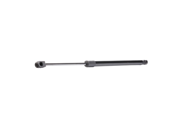 RIDEX 219G0167: Amortiguador de maletero