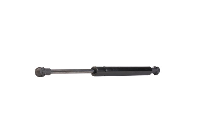RIDEX 219G0170: Heckklappendämpfer beidseitig, 286mm