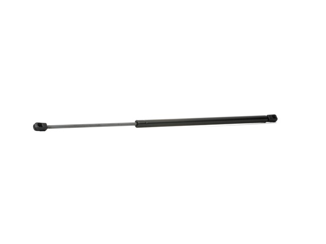 RIDEX 219G0179 Heckklappendämpfer PORSCHE Cayenne (92A) 520 PS Benzin Kosten