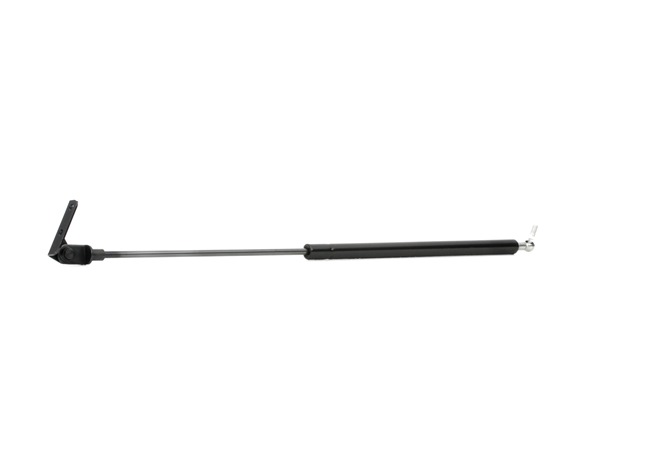 RIDEX 219G0304 Heckklappendämpfer SUZUKI SWIFT 2 Schragheck (EA, MA) 1.0 i (SF310, AA44) 54 PS Benzin