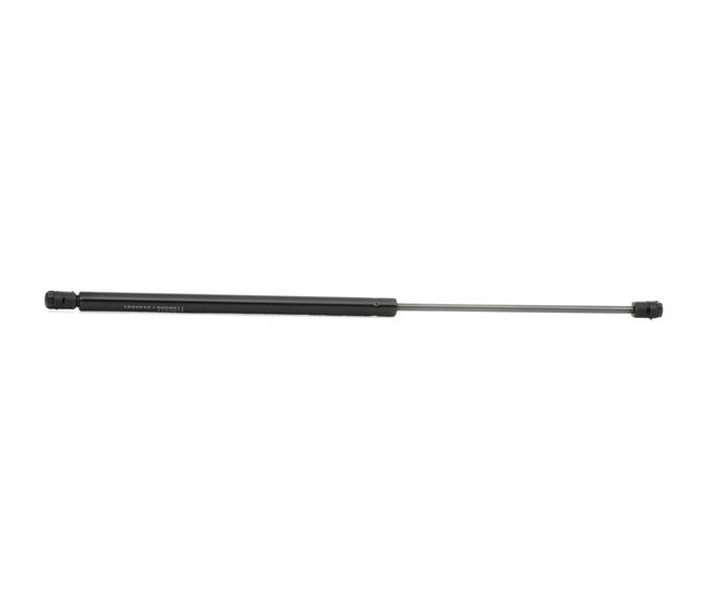 RIDEX 219G0300: Heckklappendämpfer beidseitig, 567mm