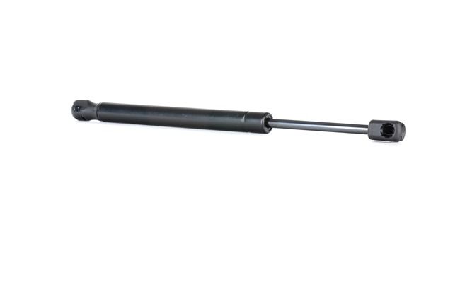 RIDEX 514G0045: Motorhaubendämpfer beidseitig