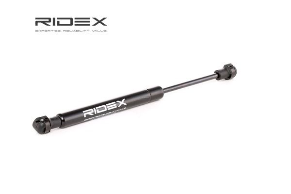 RIDEX 514G0019: Motorhaubendämpfer beidseitig, vorne