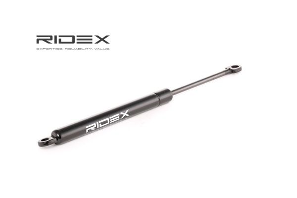 RIDEX 514G0021: Motorhaubendämpfer beidseitig