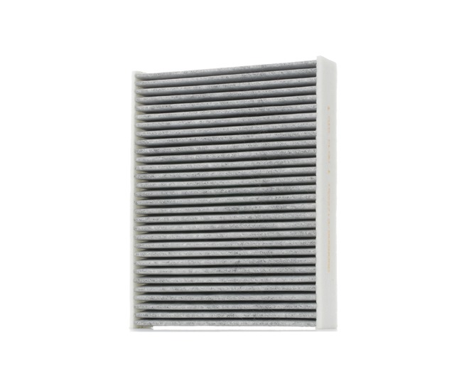 RIDEX 424I0224 Salono filtras PORSCHE 911 (991) 520 AG benzinas kaina