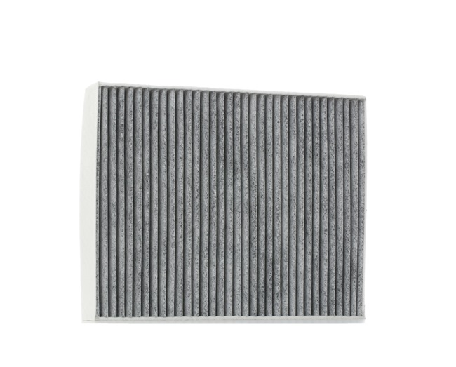 RIDEX 424I0244 Interieurfilter PORSCHE Cayenne (92A) 420 Pk Benzine kosten