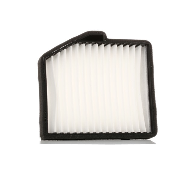 RIDEX 424I0179: Innenraumfilter Partikelfilter