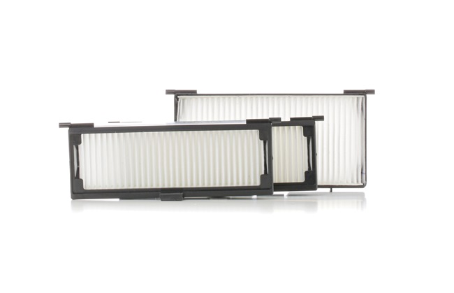 RIDEX 424I0279: Filtrs, Salona telpas gaiss Daļiņu filtrs