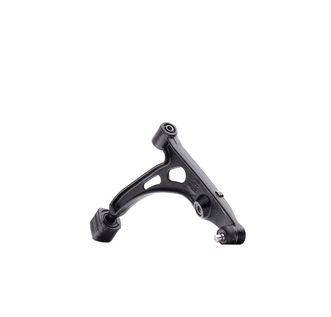 RIDEX 273C0574 Querlenker SUZUKI BALENO (EG) 71 PS Benzin Kosten