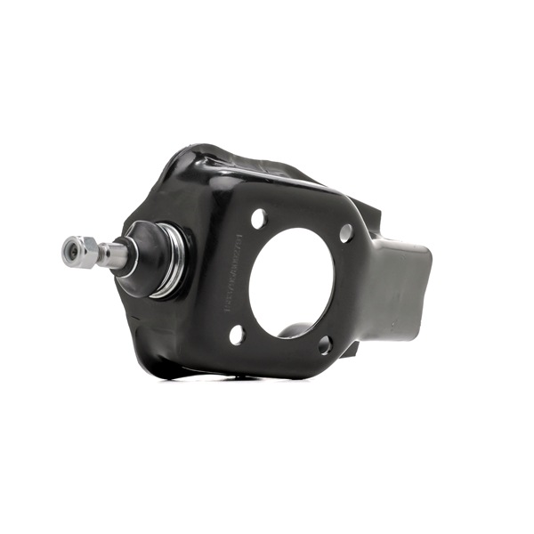 RIDEX 273C0191 Querlenker SEAT Terra Kombi (24) 40 PS Benzin Kosten