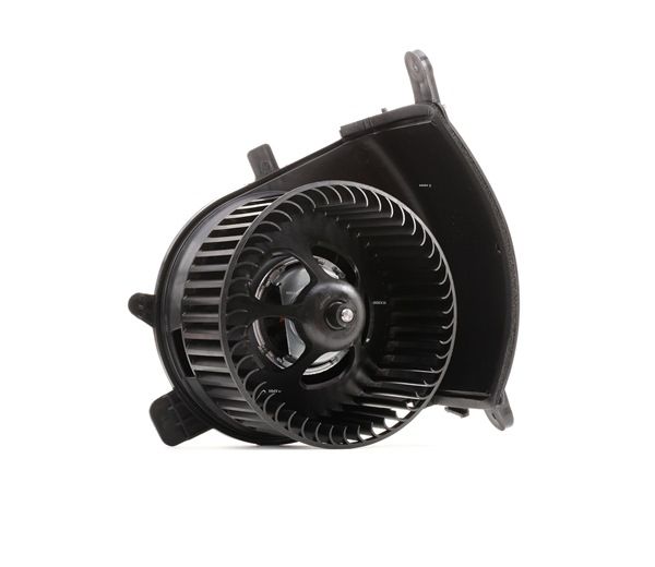 RIDEX 2669I0025 Salona ventilators RENAULT SCENIC 2 (JM0/1) 120 ZS Dīzelis cena