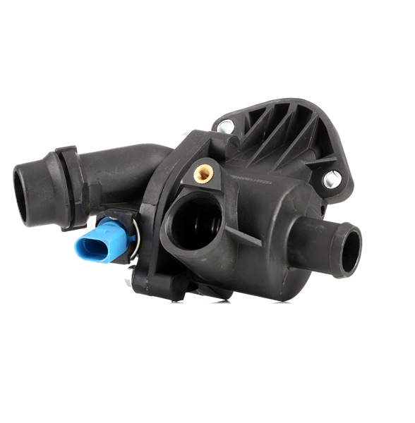 RIDEX 316T0048 Termostatas, aušinimo skystis VOLKSWAGEN PASSAT Variant (3B6) 130 AG benzinas kaina