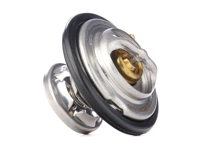 RIDEX 316T0043 Termostatas, aušinimo skystis SSANGYONG Kyron SUV 136 AG dyzelinas kaina