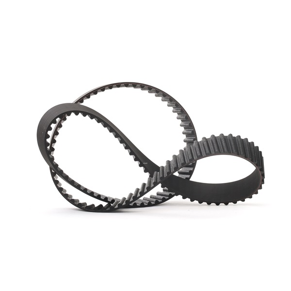 RIDEX 306T0054: Vezérműszíj Fogszám: 123, 1171mm