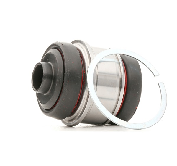 RIDEX 251T0020: Suspensión, Brazo oscilante ambos lados, Eje trasero