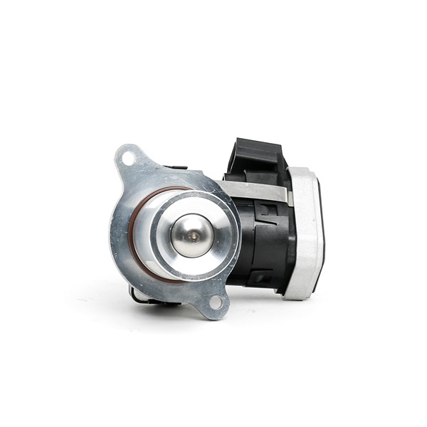 RIDEX 1145E0072: Válvula EGR com junta