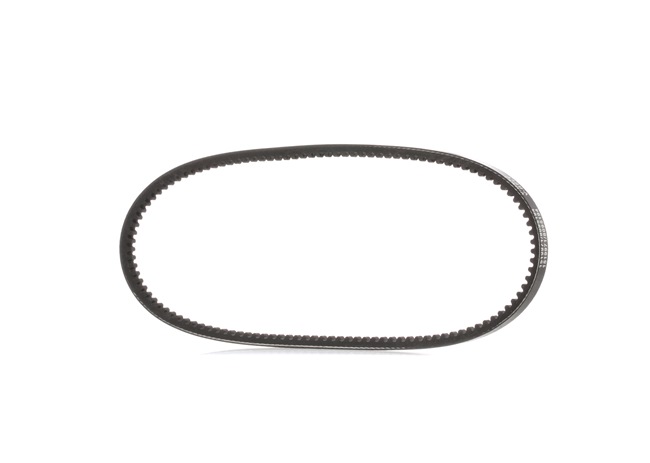 RIDEX 10C0067: Cinghia trapezoidale 763mm