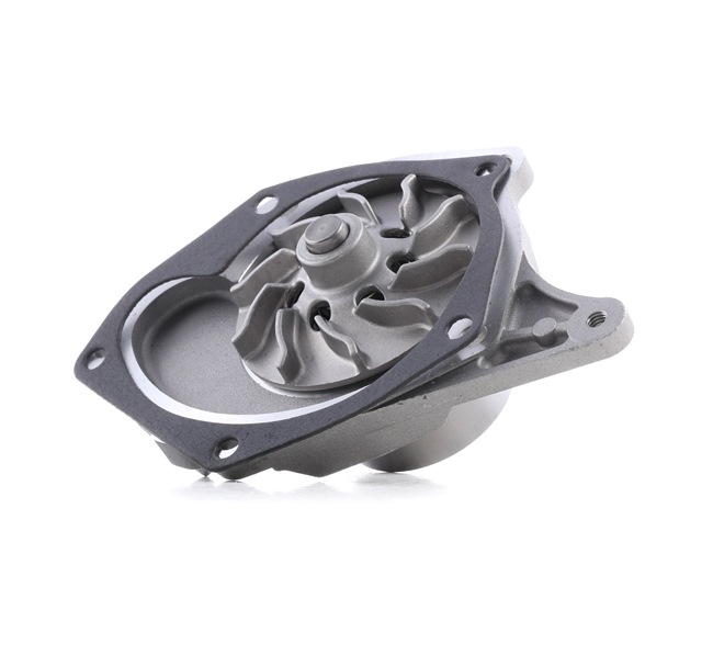 RIDEX 1260W0016: Ūdenssūknis ar blīvi