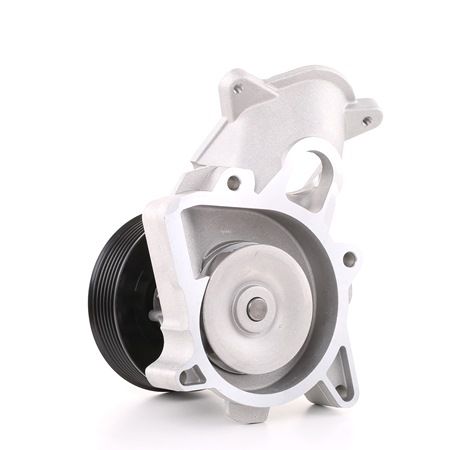 RIDEX 1260W0053: Bomba de agua con juntas, sin tapa