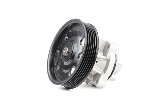 RIDEX 1260W0021: Ūdenssūknis ar blīvgredzenu