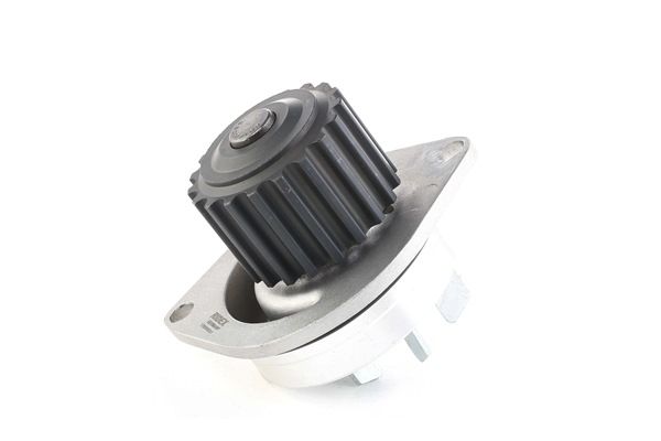 RIDEX 1260W0051: Ūdenssūknis Zobu skaits: 19, ar zobratu, ar blīvgredzenu