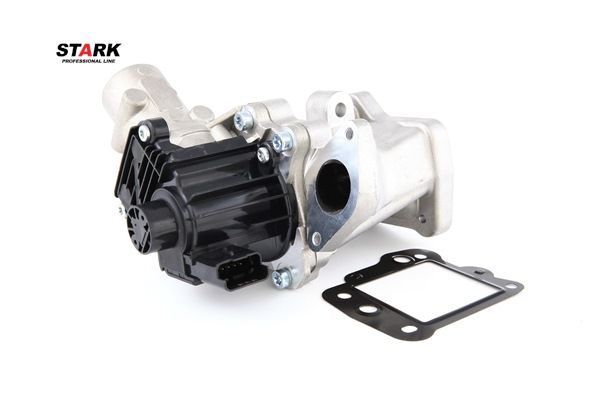 STARK SKEGR-0770090 AGR-Ventil CITROЁN C5 II Break (RE_) 163 PS Diesel Kosten