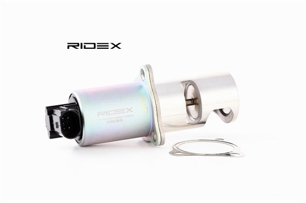 RIDEX 1145E0010 Izpl. gāzu recirkulācijas vārsts RENAULT Scénic 1 (JA0/1_, FA0_) 101 ZS Dīzelis cena