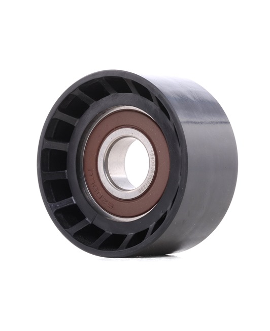 RIDEX 312D0012 Umlenk- / Führungsrolle, Keilrippenriemen RENAULT CLIO 2 (BB0/1/2, CB0/1/2) 90 PS Benzin Kosten
