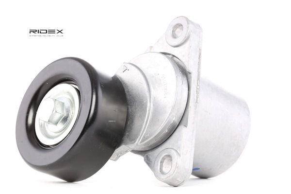 RIDEX 310T0041 Polea tensora, correa poli V HYUNDAI SONATA V (NF) 140 cv Gasóleo costo