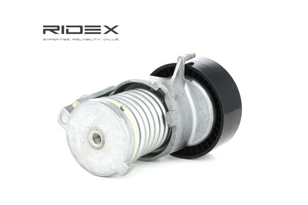 RIDEX 310T0017: Įtempiklio skriemulys, V formos rumbuotas diržas Ø: 70mm, Ø: 70mm